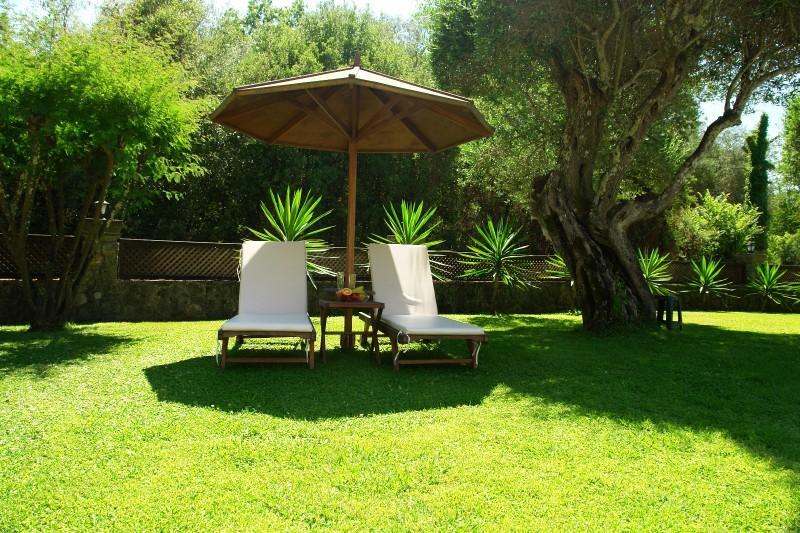 Hotel Fiori